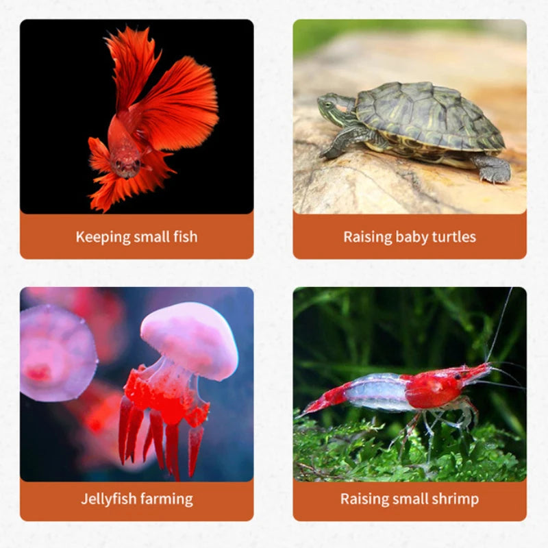 Aquarium Reptile Mini Fish Tank