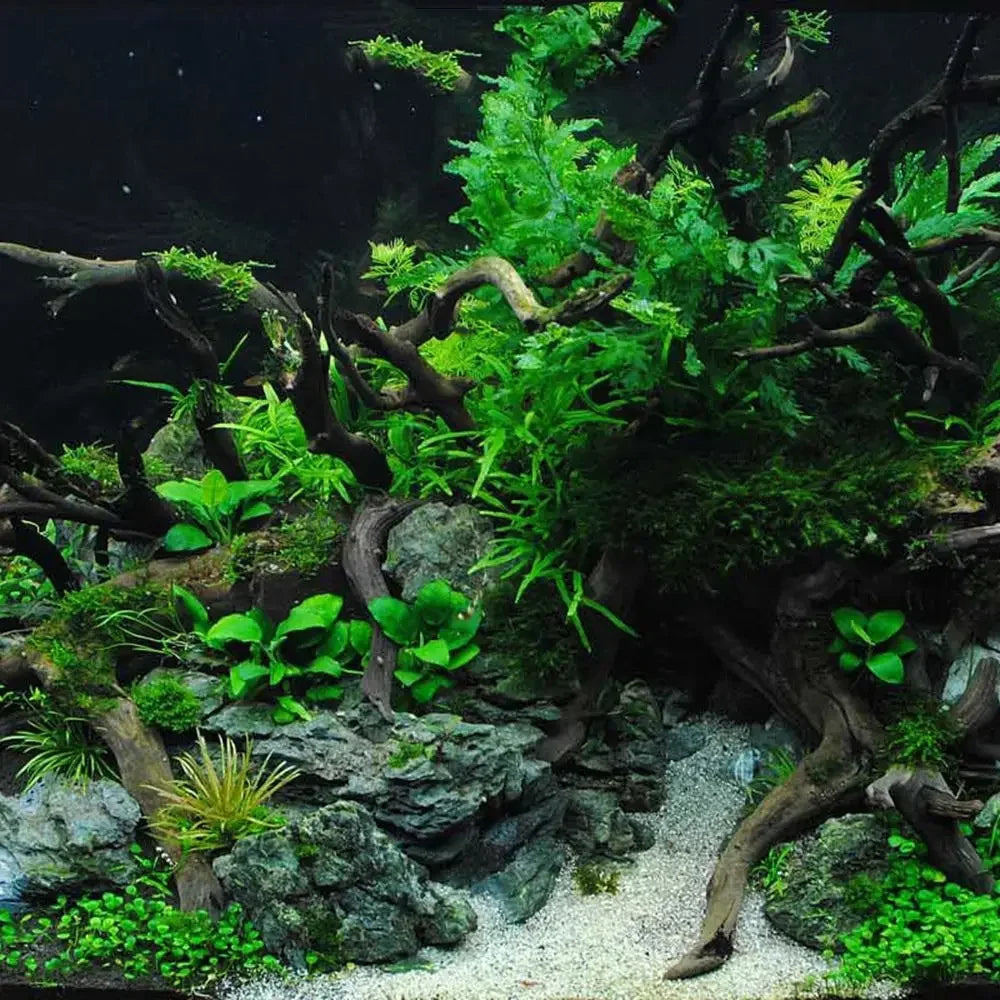 Aquarium Driftwood Natural Fish Tank Plant Decor